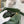 MINI PUZZLE 18CM BOTTLE GREEN CALFSKIN
