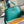 CAPUCINES MINI 21 DARK GREEN TAURILLON GOLD HARDWARE