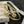 BRACCIALE CD STAR ORO DIAMANTE