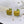 CD GOLD APPLE EARRINGS