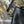 CC HOBO BAG 22 BLACK LAMBSKIN GOLD HARDWARE