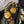 19 Borsa con patta 17 Nero Caviar Gold Hardware 
