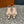 LV MET SLINGBACK BALLERINA BEIGE