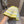 MIU KNITTED FISHERMAN HAT MODEM 179581