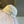 CAPPELLO DA SOLE MIU MODEM 179572 