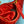 miu wander hobo medium 23cm red metalasse lambskin