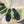 GG Interlocking G slide sandal black rubber