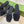 GG Interlocking G slide sandal black rubber