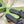 GG Interlocking G slide sandal black rubber