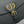 CD Medium Bobby Bag Black Calfskin Ghw