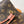 NeoNoe MM 26cm Brown Monogram Canvas