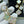 ECLOVER MOP 4 MOTIFS GOLD EARRINGS