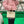 ABV Twin Jacket in Camelia Pink Cotton and Lambskin