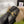 GG Princetown Slipper Black Calfskin Tuscan Wool