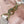 cd toujours light pink calfskin