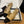 slingback piatte beige pelle di capra grosgrain nero