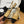 slingback piatte beige pelle di capra grosgrain nero