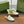 Horsebit Mule White Patent Calfskin