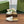 Horsebit Mule White Patent Calfskin
