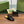 Horsebit Mule Black Patent Calfskin