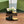 Horsebit Mule Black Patent Calfskin
