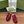 Horsebit Mule Red Patent Calfskin