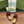 Horsebit Mule Red Patent Calfskin