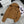 Triomphe Embroidered Hooded Jacket In Tan Cotton