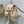 Small CD Caro Blackpack 18cm Powder Beige Macrocannage Lambskin