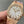 Audemars Piguet Royal Oak 34mm Selfwinding