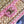 CC Chain Venice Beach Flap Bag 23cm Beige Pink Raffia