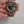 Rolex Day-Date 40 Olive Green Dial – 18K Everose Gold