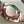 Rolex Day-Date 40 Olive Green Dial – 18K Everose Gold