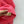 HM 25 Rose Pink Cashmere Jacquard Sweater 02658