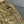 CD Lady Dior 17cm Bag Gold Lambskin