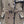 Gucci 2025 Trench Coat Beige Cotton Fabric