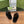 Bottines GG Horsebit en daim noir