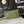 Chanel 25 Pearl Crush Square Flap Bag 20cm Dark Green Lambskin
