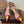 Alaia Daisy Slingback Pumps 55mm Cowhide Clear PVC 889950