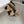 Balmain Crossover Strap Sandals 95mm Light Brown Suede