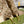 GG High Boots Horsebit 8cm Canvas Calfskin