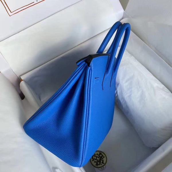 Hermes 2025 Birkin Bag 25cm Blue Togo Leather Silver Hardware