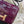 HM Constance Bag 18cm Crocodile Purple Patent Leather (15 days production))