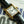 TANK MUST QUARTZ 30MM GOLD PLATED CASE LEATHER IVORY DIAL