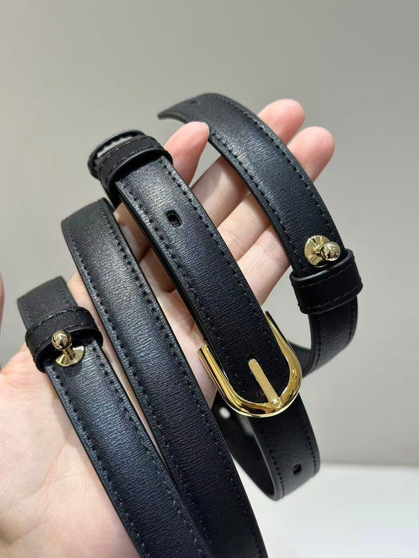 Delvaux Brillant Mini Bag 20cm Black in Cowhide