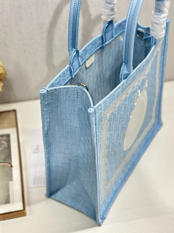 CD Book Tote Blue White  in Canvas