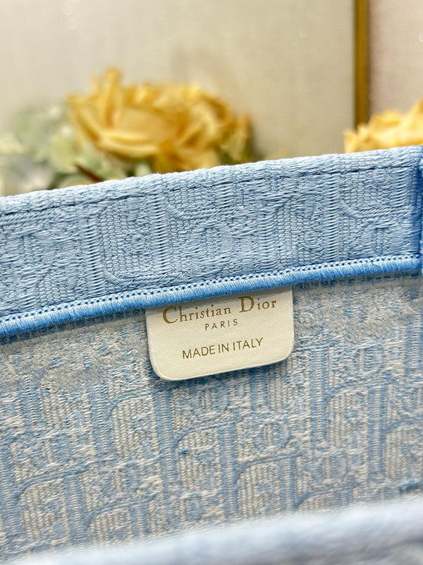 CD Book Tote Blue White  in Canvas
