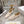 CD Médaillon Loafer Beige Suede