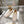 CD Médaillon Loafer Beige Suede