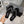 CC Pearl-Embellished Thong Sandals Black Velvet